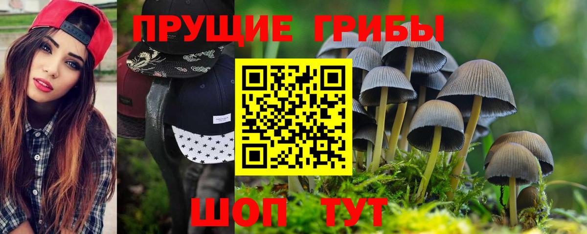 Псилоцибиновые грибы GOLDEN TEACHER  Вход с VPN  Псилоцибиновые грибы мицелий  Березники 