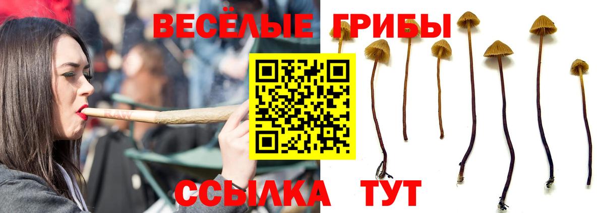 Галлюциногенные грибы Magic Shrooms Березники
